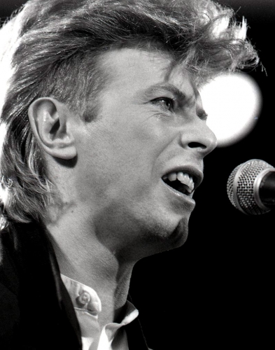 davidBowie 26-2176