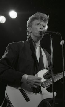 davidbowie 13-2163