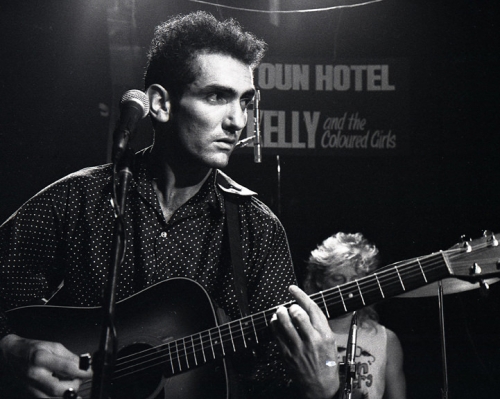 paulKelly 36-5541
